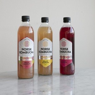 Norsk Kombucha