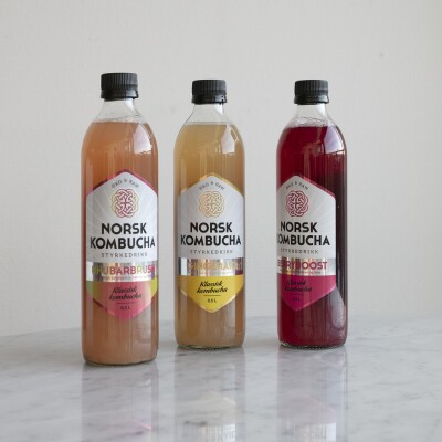 Norsk Kombucha